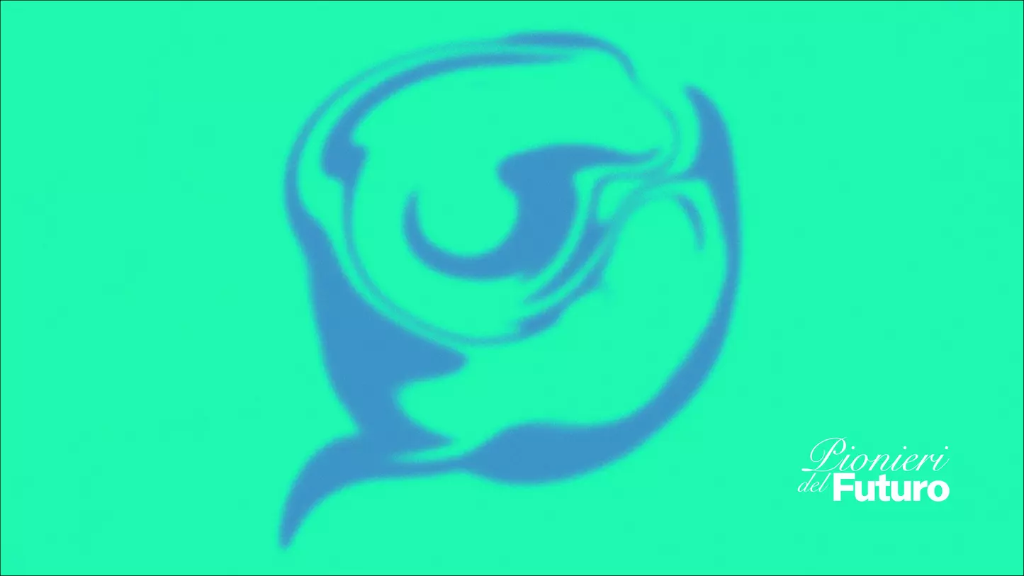 WHATSAPP WIKIP DIA visual data 4